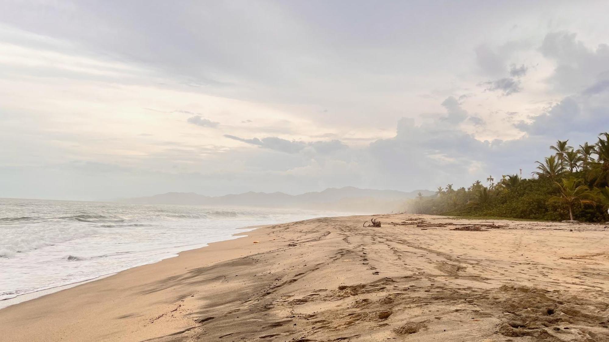 Tayrona Juancho'S House Hostel & Coworking 洛斯纳兰霍斯 外观 照片
